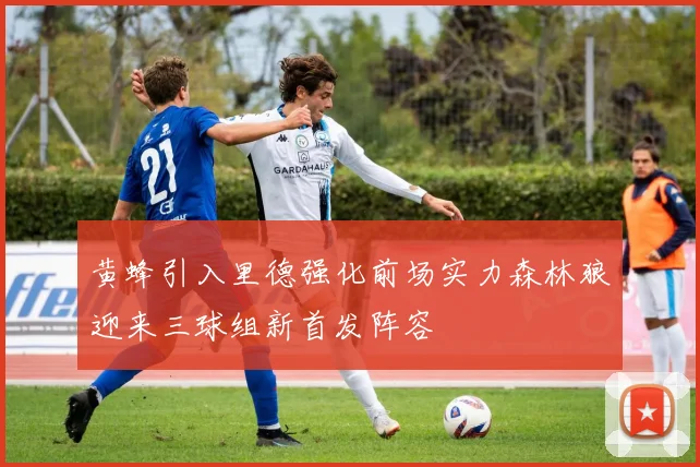 黄蜂引入里德强化前场实力森林狼迎来三球组新首发阵容
