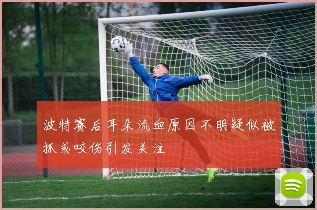 波特赛后耳朵流血原因不明疑似被抓或咬伤引发关注